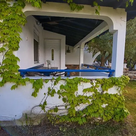 Apartment Dreams Toroni