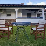 Dreams Toroni