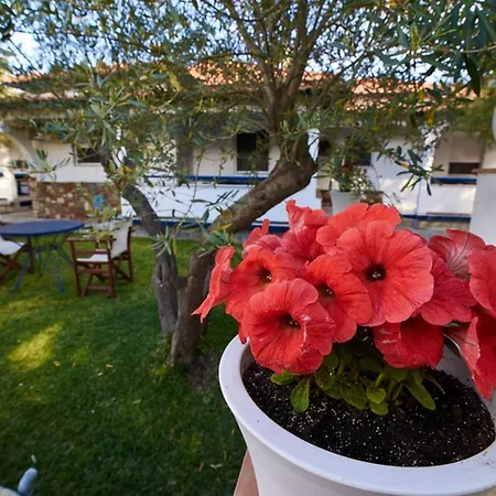 Dreams アパート トロニ