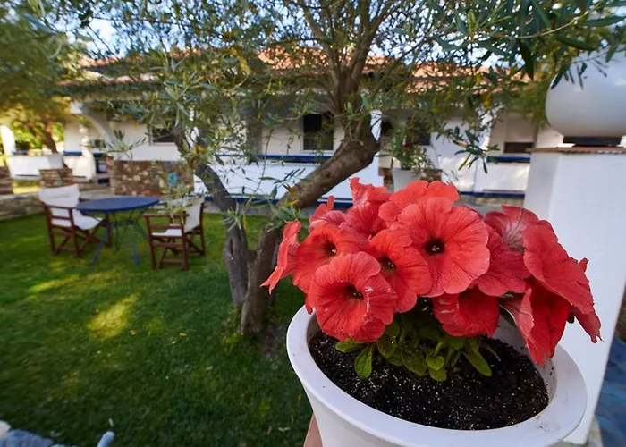 Dreams Apartamento Toroni